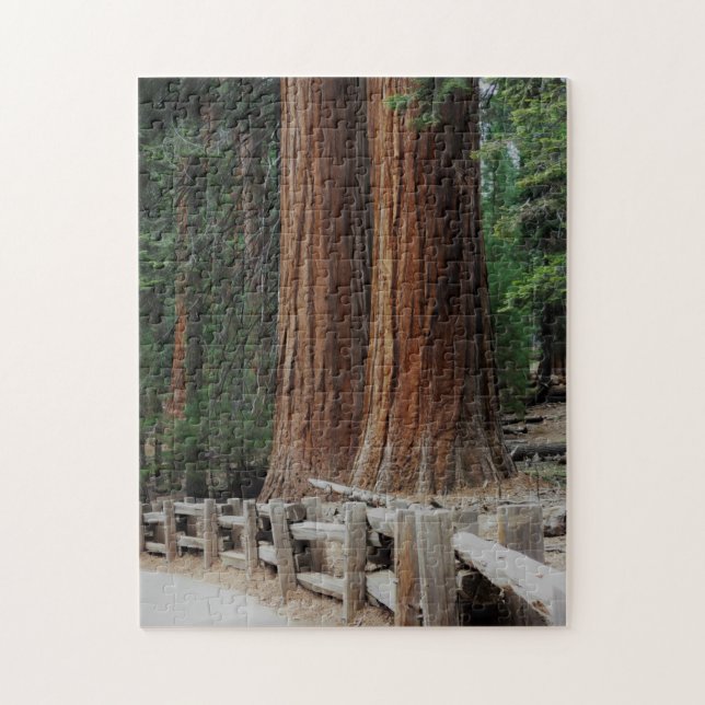 Giant Träd vid nationalparken Sequoia/Kung Canyon Pussel (Vertikal)