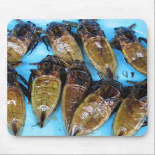 Giant Vatten Kryp (Maeng Daa) ... Asiatisk mat Musmatta