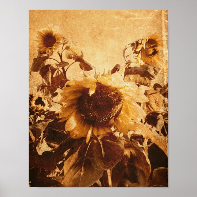 Giant Vintage Sunblommblommor Sepia Decoupage Art Poster (Framsidan)