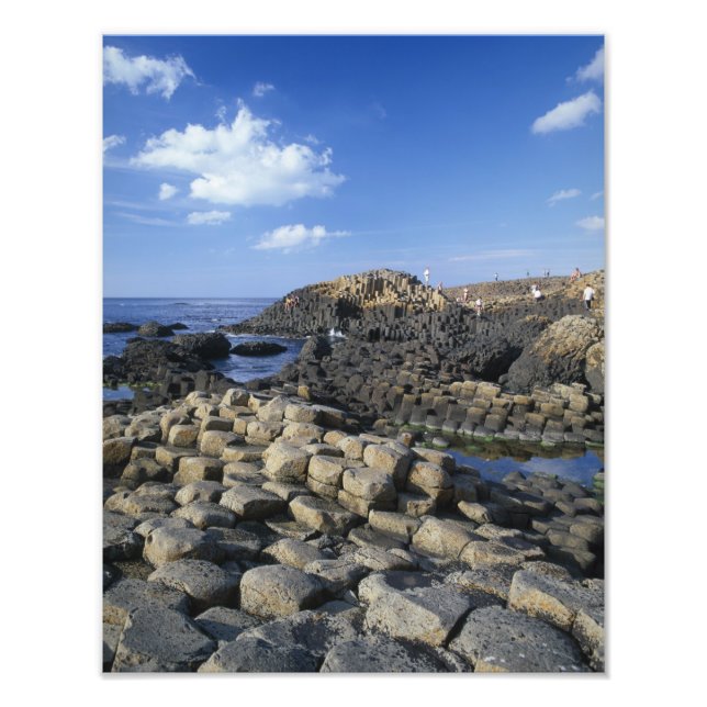 Giants Causeway, County Antrim, Nordirland Fototryck (Framsidan)