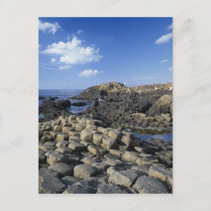 Giants Causeway, County Antrim, Nordirland Vykort