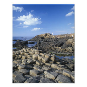 Giants Causeway, County Antrim, Northern Fototryck