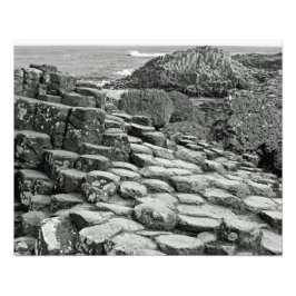 Giants Causeway Shoreline Fototryck