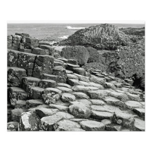 Giants Causeway Shoreline Fototryck