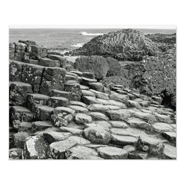 Giants Causeway Shoreline Fototryck (Framsidan)