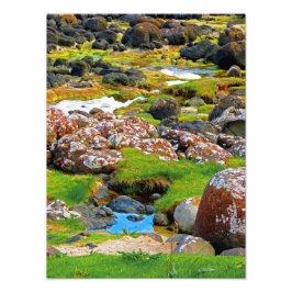 Giant's Causeway - View 2 Fototryck