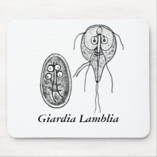 Giardia Lamblia Gov.ai, Giardia Lamblia Musmatta