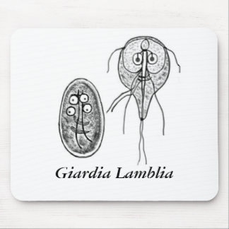 Giardia Lamblia Gov.ai, Giardia Lamblia Musmatta