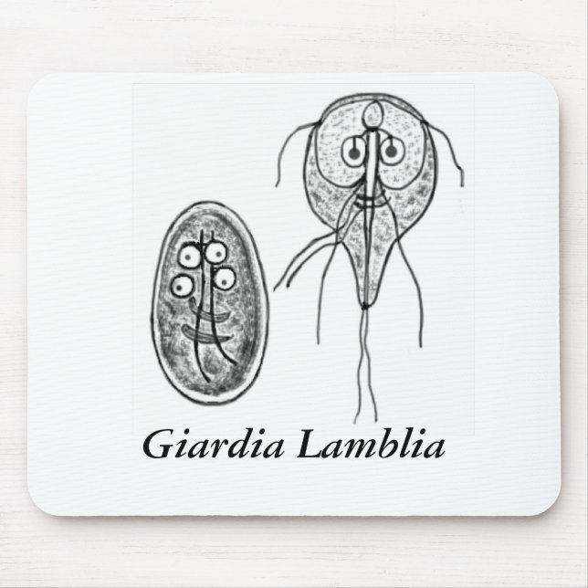 Giardia Lamblia Gov.ai, Giardia Lamblia Musmatta (Framsidan)