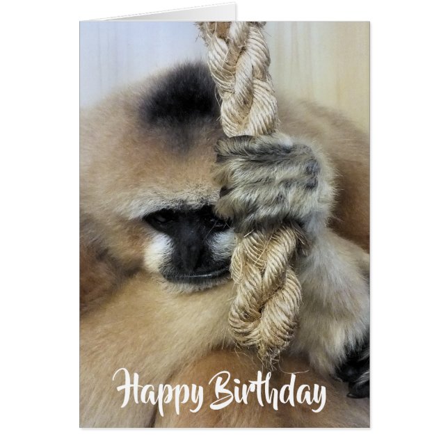 GIBBON CARD HÄLSNINGSKORT (Framsidan)