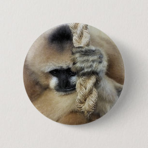 GIBBON KNAPP