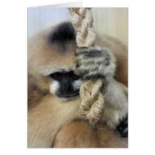 GIBBON-kort Hälsningskort