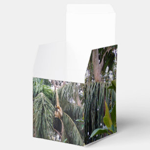 Gibbon Monkey Just Chillin, Favor Party Box Presentaskar