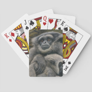 Gibbon Shelter - Emotional Wildlife Porträtt Casinokort