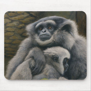 Gibbon Shelter - Emotional Wildlife Porträtt Musmatta