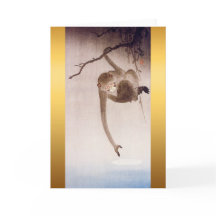 Gibbon som når till måne reflektion VGC