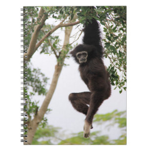 Gibbon som svingar från träd anteckningsbok