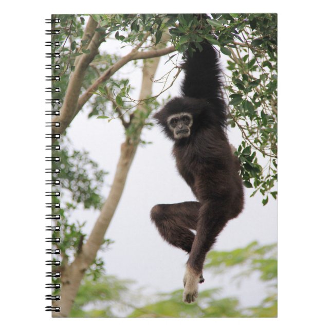 Gibbon som svingar från träd anteckningsbok (Framsidan)