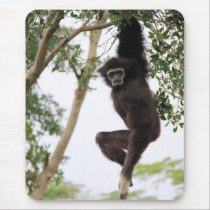 Gibbon Swinging från Träd Musmatta