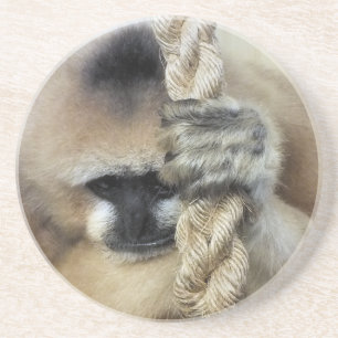 GIBBON UNDERLÄGG SANDSTEN