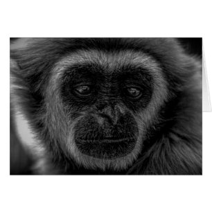 Gibbon Wildlife indonesia däggdjur Hälsningskort