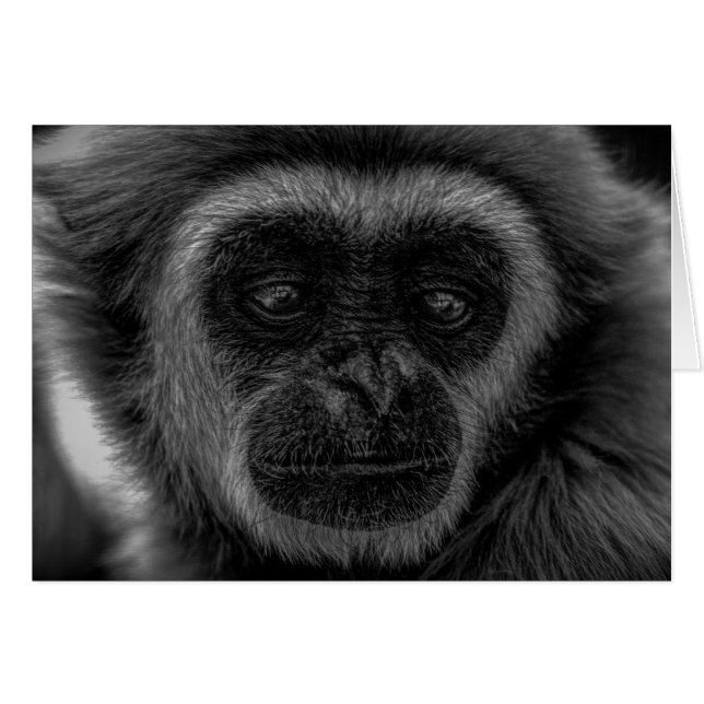 Gibbon Wildlife indonesia däggdjur Hälsningskort (Framsidan Horizontal)