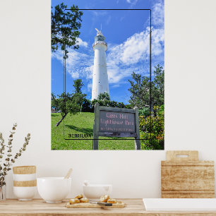 Gibbs Backe fyr Park Poster