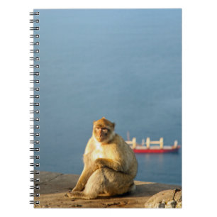 Gibraltar Barbary ape Anteckningsbok