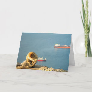 Gibraltar Barbary ape Kort