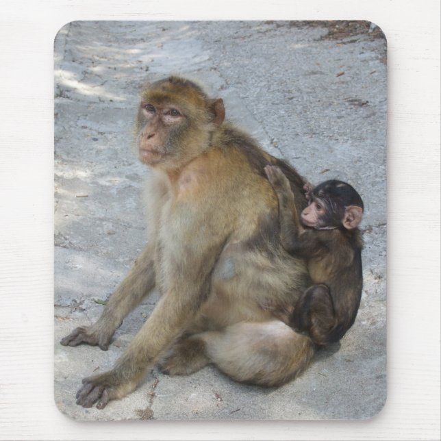 Gibraltar Monkey mousepad Musmatta (Framsidan)