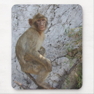 Gibraltar Monkey mousepad Musmatta