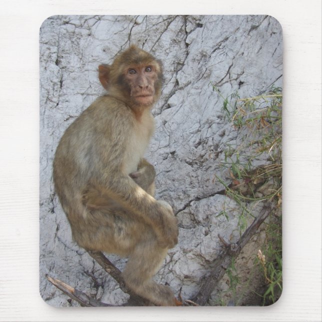Gibraltar Monkey mousepad Musmatta (Framsidan)