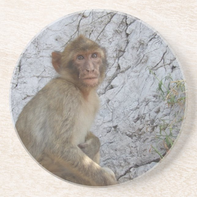 Gibraltar Monkey underlägg (Framsidan)