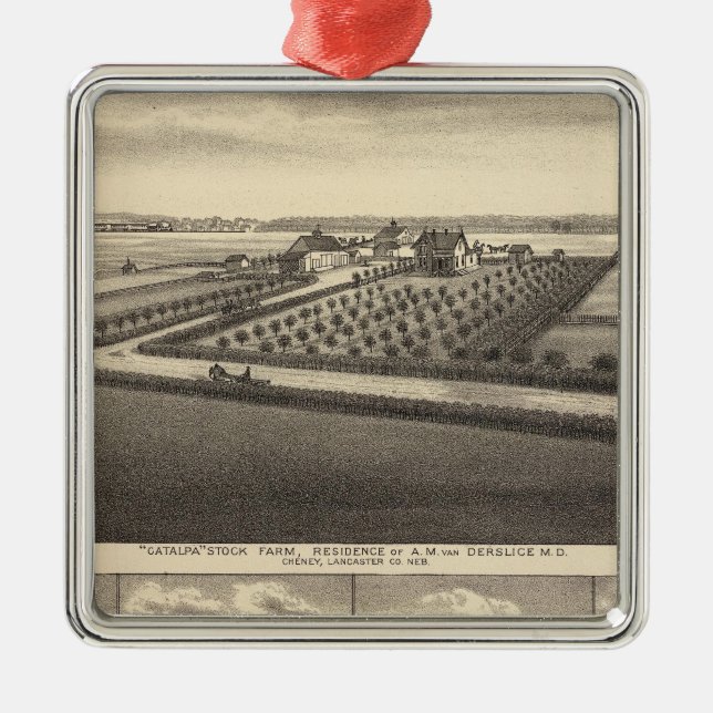 Gibson Nebraska Julgransprydnad Metall (Framsidan)