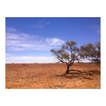 Gidyea i Simpson Desert-poster