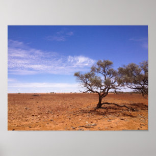 Gidyea i Simpson Desert-poster Poster