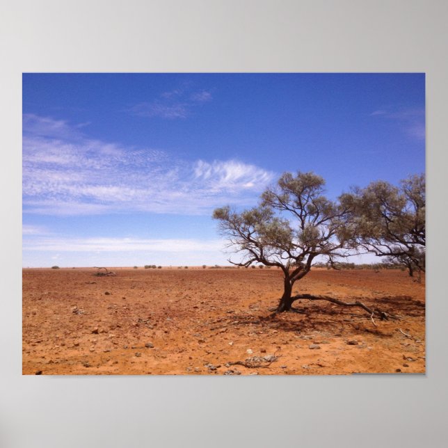 Gidyea i Simpson Desert-poster Poster (Framsidan)