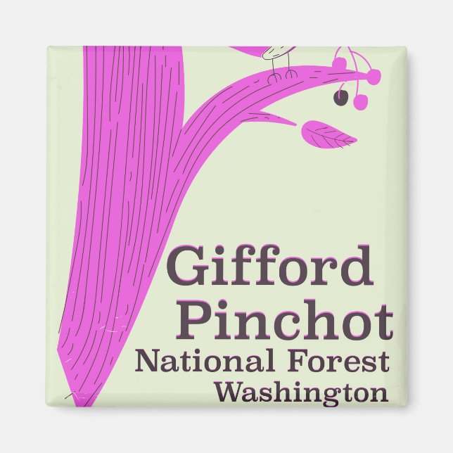 Gifford Pinchot National Forest Washington Magnet (Framsidan)