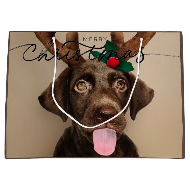 GIFT BAG CHOCOLATE LABRADOR PUPPY MED ANTLERS (Framsidan)