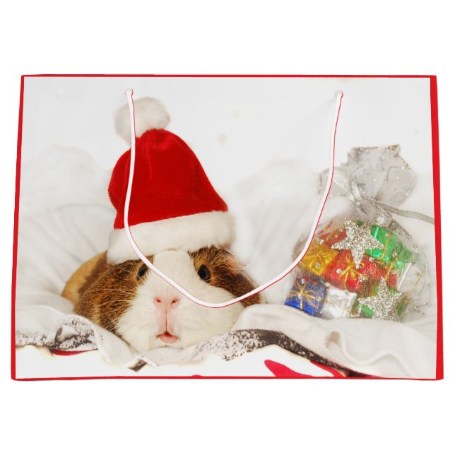 Gift Bag GUINEA GRIS IN A SANTA HAT (Framsidan)