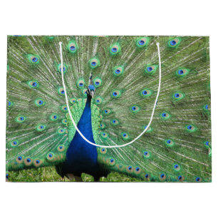 Gift Bag (LRG) - Proud Peacock