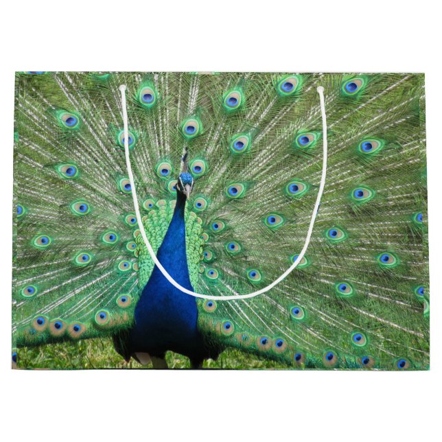 Gift Bag (LRG) - Proud Peacock (Framsidan)