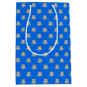 Gift Bag med Connecticut flagga, USA