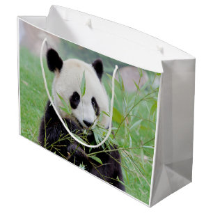 Gift Bag Photo jätte panda , djur 0185.