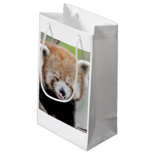 Gift Bag Photo Red panda , djur 0269.