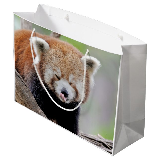 Gift Bag Photo Red panda , djur 0272. (Baksidan Vinklad)