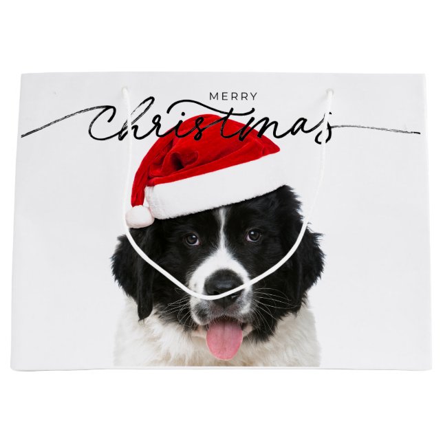 GIFT BAG ST BERNARD PUPPY WITH SANTA HAT (Framsidan)
