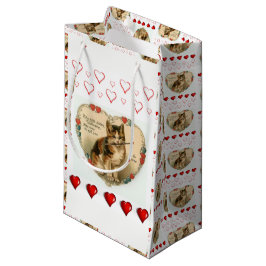 Gift Bag Valentines