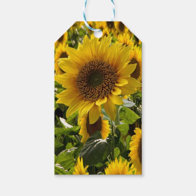 Gift Bags Sunblommor Presentetikett (Framsidan)