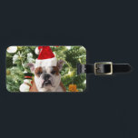 Gift Box för Santa Hat Bulldog Julgran Snögubbe Bagagebricka<br><div class="desc">Cute Bulldog-foto med Julgran Snögubbe Gift Box i bakgrunden. En perfekt julklapp!</div>